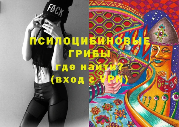 шишки Балабаново