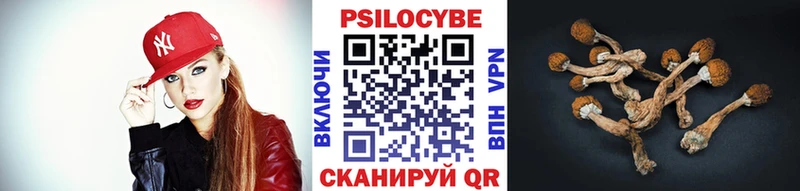 Псилоцибиновые грибы Cubensis МЕГА ТОР Коркино
